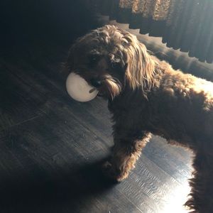 Meet your Posher, Lynn